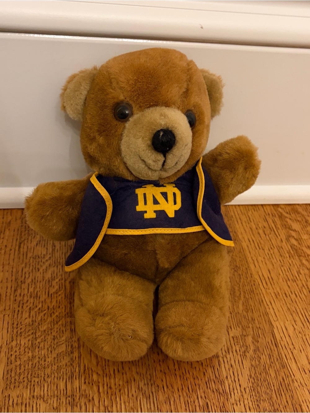 Vintage Notre Dame Fighting Irish Teddy Bear Plush 10" Telemarks 1980s Stuffed